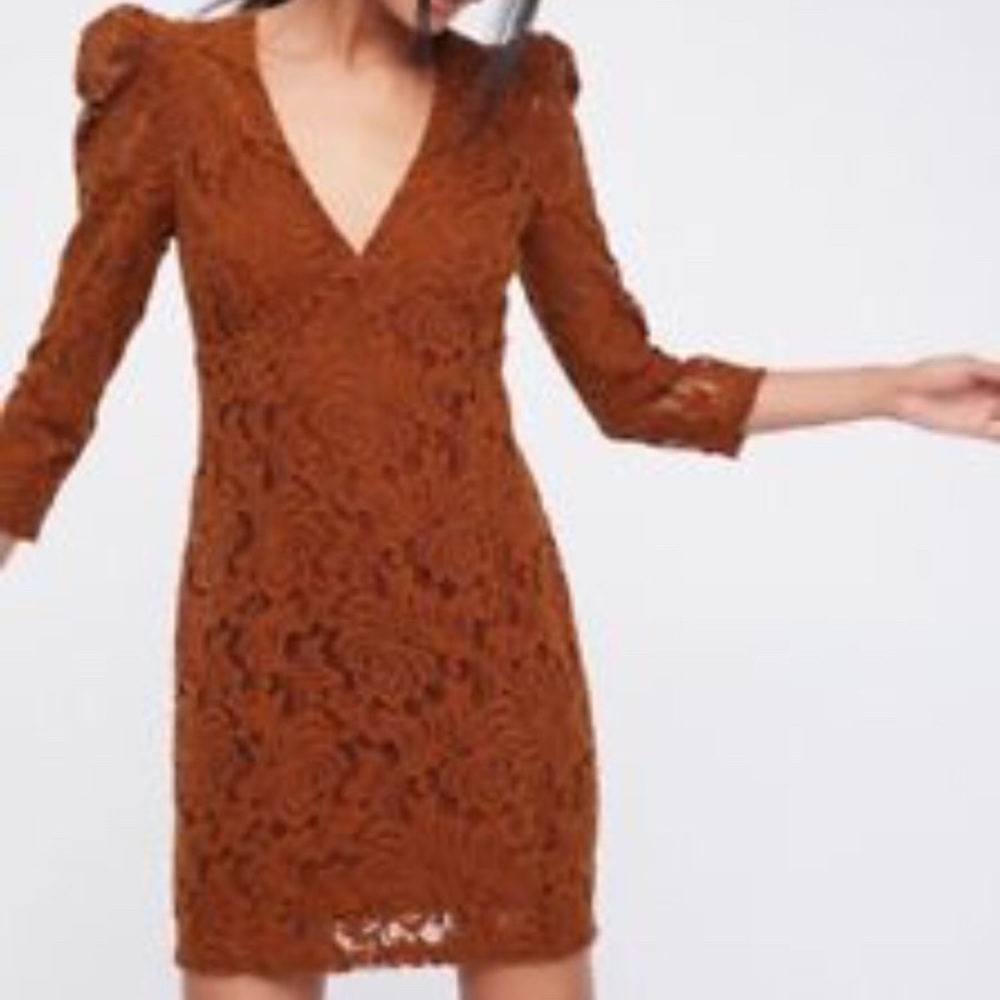 V-Neck Lace Sheath Dress in Rust